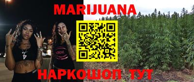 Альфа ПВП Новозыбков